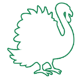 Turkeys